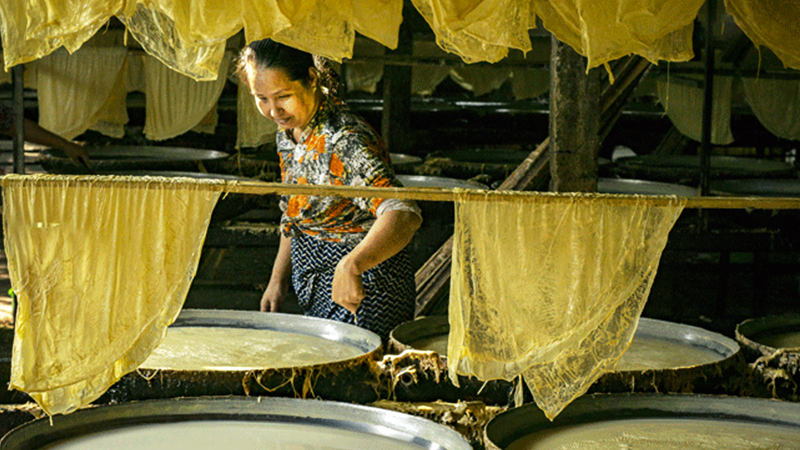 Tofu-skin craft village in Vinh Long